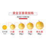 京鮮生欽蜜9號黃金百香果 3斤凈重90g+/9-15個(gè)  生鮮水果 源頭直發(fā) 曬單實(shí)拍圖