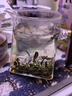 音朗 茶葉綠茶 毛尖茶 2025新茶 明前春茶貴州濃香耐泡茶葉禮盒400g 曬單實(shí)拍圖