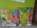 京鮮生陽(yáng)光玫瑰香青提凈重4.5-5斤裝單果10g 葡萄/提子中秋水果源頭直發(fā) 曬單實(shí)拍圖