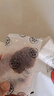 新邊界（new boundaries）阿克蘇蘋果干500g 高膳食纖維獨立包裝新疆冰糖心無核蘋果肉零食 曬單實拍圖