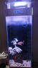 全光譜增艷高亮魚缸夾燈LED照明顯色無閃頻多功能造景水族夾燈 全光譜夾燈13W/適用50-60cm魚缸 曬單實拍圖