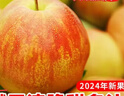 梨貢士山西玉露香梨5斤散裝玉露香梨酥脆甜梨水果梨子包郵5斤8-9顆小果發(fā)（郵政/圓通） 曬單實(shí)拍圖