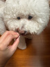 倍內(nèi)菲主食凍干生骨肉犬用幼犬成犬貝內(nèi)菲蓓培雞肉鴨肉鮮肉通用凍干狗糧 鮮鴨肉香梨犬糧主食凍干400g 按拍下規(guī)格選項發(fā)貨 曬單實(shí)拍圖