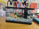 闊庭（KUOTING）魚缸水族箱生態(tài)桌面魚缸新款懶人魚缸生態(tài)造景過濾制氧一體機(jī)黑色 曬單實拍圖