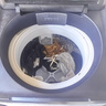 松下（Panasonic）【吳磊推薦】波輪洗衣機(jī)全自動(dòng)10公斤 離心洗水氧泡沫羽絨內(nèi)衣洗衣機(jī) 國(guó)家補(bǔ)貼不彎腰XQB100-1U2R 曬單實(shí)拍圖