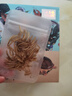 LIFELINE命脈40%蛋白烏龜飼料龜糧通用巴西草龜馬祖瑞幼龜海豚中華草地龜 全新升級(jí)40%蛋白半水龜糧300g 曬單實(shí)拍圖