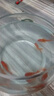 西洲曲金魚觀賞魚活魚魚苗冷水魚小型魚淡水魚好養(yǎng)耐活新手魚闖缸飼料魚 3-5cm草金魚10條送2條備損送魚食 曬單實拍圖