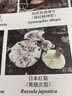海爾（Haier）【25年新品】小紅花系列超薄滾筒洗衣機全自動直驅(qū)變頻10公斤慕斯洗1.15洗凈比懶人洗37E 【37E單洗】高1.15洗凈比+藍盾除菌+智能投放 曬單實拍圖