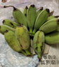 廣東新鮮蘋果蕉自然熟香芭蕉小香蕉粉蕉現(xiàn)摘現(xiàn)發(fā)水果生鮮早餐包郵 【帶箱3斤】蘋果蕉 曬單實拍圖