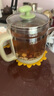小熊（Bear）養(yǎng)生壺煮茶壺恒溫水壺多檔保溫燒水一體電熱水壺花茶壺 1.5升全自動玻璃養(yǎng)生燒水壺0膠水 國家補貼 YSH-B18T1【配濾網(wǎng)+蛋架】 1.5L 綠色 曬單實拍圖