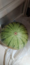 【產(chǎn)地直采】麒麟奶油西瓜 約4.5kg 曬單實拍圖