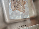 8斤 無(wú)添加野生海捕筆管魚(yú)小魷魚(yú)小海兔子現捕新鮮海鮮 1斤野生新鮮速凍筆管魚(yú) 曬單實(shí)拍圖