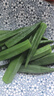 【嶺南味道】秋葵200g 曬單實(shí)拍圖