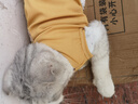 華夫格小熊背心小狗狗寵物衣服薄款夏裝泰迪比熊中小型犬秋天春款 貓咪衣服-黃色 L碼 曬單實(shí)拍圖