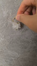 伊黛兒白色花朵耳環(huán)耳圈女個性小眾設(shè)計感氣質(zhì)百搭耳飾送女友生日禮物 白色花朵耳環(huán)E2882 曬單實拍圖