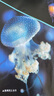 水母花園 曬單實(shí)拍圖
