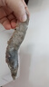 東上御品蝦 青島大蝦基圍蝦鮮活青蝦白蝦海蝦對蝦冰蝦凍蝦生鮮 蝦類 海鮮 3斤(凈重)  氣凍大蝦【活蝦速凍】 15-18cm【單只超大蝦】 曬單實(shí)拍圖