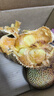 海南樹熟榴蓮蜜新鮮水果軟糯香甜濕包新鮮肉厚核小當季超甜現(xiàn)貨 榴蓮蜜（非榴蓮）4-5斤1-2個裝 曬單實拍圖