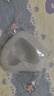 愛(ài)心格子硅膠模具模具流心山藥慕斯冷菜蛋糕造型甜品編制網(wǎng)格心形 格子愛(ài)心硅膠膜大小各一個(gè) 曬單實(shí)拍圖