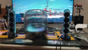 哈曼卡頓Soundsticks 5 音樂(lè)水晶5代玄光版丁禹兮桌面藍(lán)牙音箱低音炮音響水晶5黑色居家藝術(shù)音響生日禮物 【重磅上新】水晶5·玄光版 曬單實(shí)拍圖