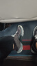 NEW BALANCE25年男鞋女鞋復古輕便百搭運動(dòng)休閑鞋M10L系列MTM10LEA 42.5 曬單實(shí)拍圖