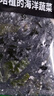 鮮嫩可口脫水鮮嫩裙帶菜補(bǔ)鈣低脂海藻海帶湯海白菜正宗新鮮減脂餐 脫水裙帶菜100g×3包 曬單實(shí)拍圖