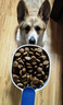 伯納天純狗糧中大型犬全價(jià)成年犬糧17kg羊肉蔓越莓味 曬單實(shí)拍圖