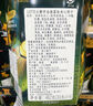 LOTTE山姆會(huì )員超市商店樂(lè )天小熊餅干宇治抹茶味夾心餅干山姆餅干零食 拆分1小盒(新品嘗鮮裝) 恰到好處 小能形狀 宇治抹茶粉 曬單實(shí)拍圖