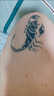 淇絲蔓草本果汁半臂紋身貼男女防水持久仿真線(xiàn)條手臂社會(huì )紋身花腿花臂 草本半臂龍女一張 曬單實(shí)拍圖