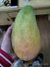 黃六爺進(jìn)口大青芒純甜青皮芒果高級熱帶新鮮水果應當季金煌芒整箱特大果 3斤 大果【單果600-800g人氣爆款裝 曬單實(shí)拍圖