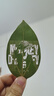 LONGER激光雕刻機(jī)Ray5 10W高精度專業(yè)級(jí)全自動(dòng)切割機(jī)葉雕機(jī)打標(biāo)機(jī) 旗艦款【專業(yè)款+氣泵+蜂窩板】 曬單實(shí)拍圖