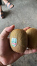 佳沛（zespri）綠奇異果 優(yōu)選大果12粒單果約113-135g  水果禮盒 獼猴桃 曬單實拍圖