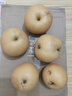 京鮮生山東煙臺萊陽(yáng)秋月梨凈重3斤單果300g  新鮮水果 源頭直發(fā)包郵 曬單實(shí)拍圖