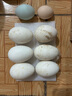 珍府客12枚新鮮鵝蛋農(nóng)家散養(yǎng)鵝蛋孕婦寶寶滋補大個頭生鮮京東包郵 6枚精選鵝蛋(單枚100~120g) 曬單實拍圖