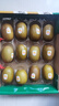 佳沛（zespri）新西蘭 陽光金奇異果12粒禮盒特大果單果約122-146g 獼猴桃 水果 曬單實拍圖