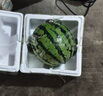 京鮮生 麒麟西瓜 凈重7-9斤 1粒裝 生鮮水果源頭直發(fā) 曬單實(shí)拍圖