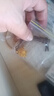 中鑫珠寶黃金耳環(huán)葉子耳墜女款999.9足金樹(shù)葉耳圈送媽媽女神節楓葉金首飾 4.77g 曬單實(shí)拍圖