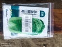 北蔬 北京新三號白菜種子苗葉多秋季蔬菜種籽 北京新三號種子10g×3包 曬單實拍圖