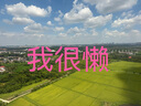 On 昂跑 THE ROGER Kids 幼童款運(yùn)動(dòng)鞋 White/Glacier 白色/冰川灰 28.5 曬單實(shí)拍圖