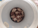 禾泱泱嬰幼兒稻芽原生星星泡芙 寶寶兒童零食低敏6個(gè)月以上輔食泡芙條 【2罐】星星泡芙草莓味20g+藍莓味20g 曬單實(shí)拍圖