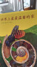一粒種子的旅行（套裝全2冊）（愛(ài)心樹(shù)童書(shū)）入選中國小學(xué)生基礎閱讀書(shū)目，獲德國青少年科普大獎 曬單實(shí)拍圖