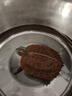 闊庭（KUOTING）過濾款烏龜缸生態(tài)缸寵物飼養(yǎng)箱透明水陸爬寵兩用黑色【特大號】 曬單實拍圖