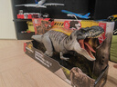 Jurassic World生日禮物男孩恐龍玩具電影同款侏羅紀世界大電影之霸王龍JCH02 曬單實拍圖