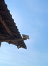 舒福佳（shufujia）太陽(yáng)能戶外照明燈庭院燈新農(nóng)村LED投光燈防水路燈天黑自動(dòng)亮燈 曬單實(shí)拍圖