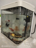 技研精工（JIYJNJINGGONG）魚(yú)缸客廳小型家用帶增氧桌面超白玻璃過(guò)濾免換水生態(tài)懶人魚(yú)缸240 曬單實(shí)拍圖
