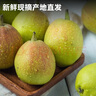 京鮮生 新疆庫(kù)爾勒香梨 凈重5斤 單果100g-120g 新鮮水果 源頭直發(fā) 曬單實(shí)拍圖