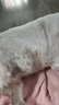 狗狗皮膚病專用藥狗癬真菌感染潰爛皮炎瘙癢螨蟲掉毛濕疹外用噴劑 買2 送1【實發(fā)3盒】 曬單實拍圖