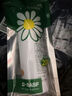 巴斯夫除蟲菊殺蟲劑噴霧蟑螂藥螞蟻跳蚤臭蟲蒼蠅衣魚蟲小飛蟲下水道80ml 曬單實(shí)拍圖