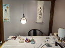Paulmann P德國柏曼臥室護(hù)眼吊燈床頭吧臺(tái)餐廳餐桌現(xiàn)代簡(jiǎn)約LED燈具 【一體式LED-三段調(diào)光】暖黃光 曬單實(shí)拍圖