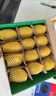 佳沛（zespri）新西蘭 陽(yáng)光金果12粒單果約122-146g 獼猴桃 中秋水果禮盒 曬單實(shí)拍圖